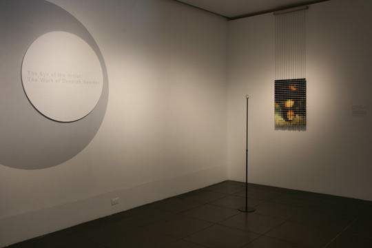 The Eye of the Artist: The Work of Devorah Sperber, at the Brooklyn Museum 2007