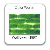 Other works 1997-2000, including Wall Lawn, dyed feather "bricks," installation view (detail)