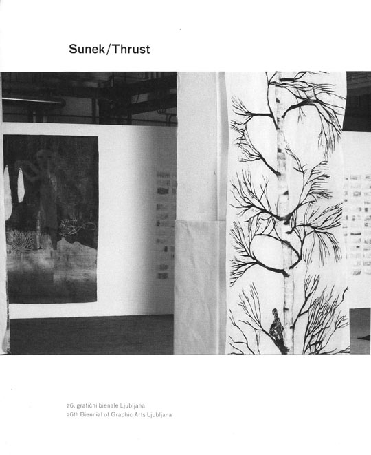 Sunek/ Thrust, 2005 Ljubljana Print Biennale, Essay by Marilyn Kishner, Brooklyn Museum, Devorah Sperber, US Representative